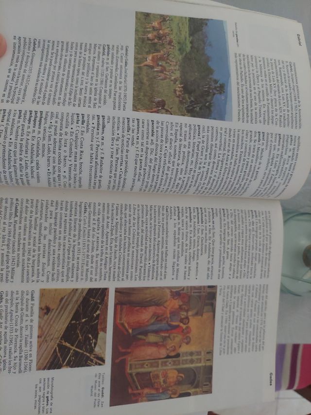 Gran Enciclopedia Ilustrada