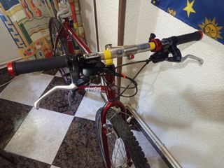 Bicicleta Montaña Alpinestars mtb clásica cromoly