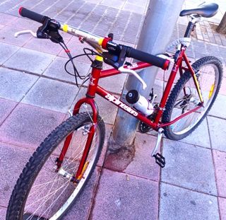 Bicicleta Montaña Alpinestars mtb clásica cromoly
