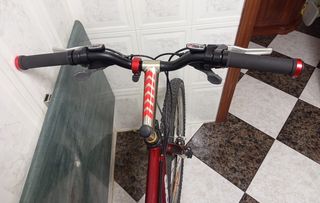 Bicicleta Montaña Alpinestars mtb clásica cromoly