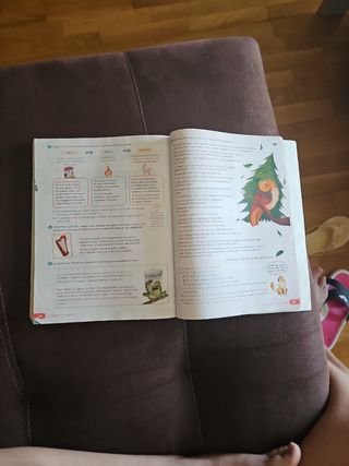 Lengua Castellana y Literatura. 5 Primaria. Rev...