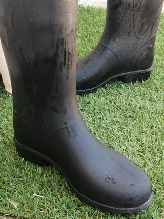 Botas agua equitación negras