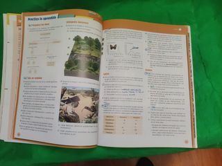 Biología y Geología 4. Temas 4 al 8