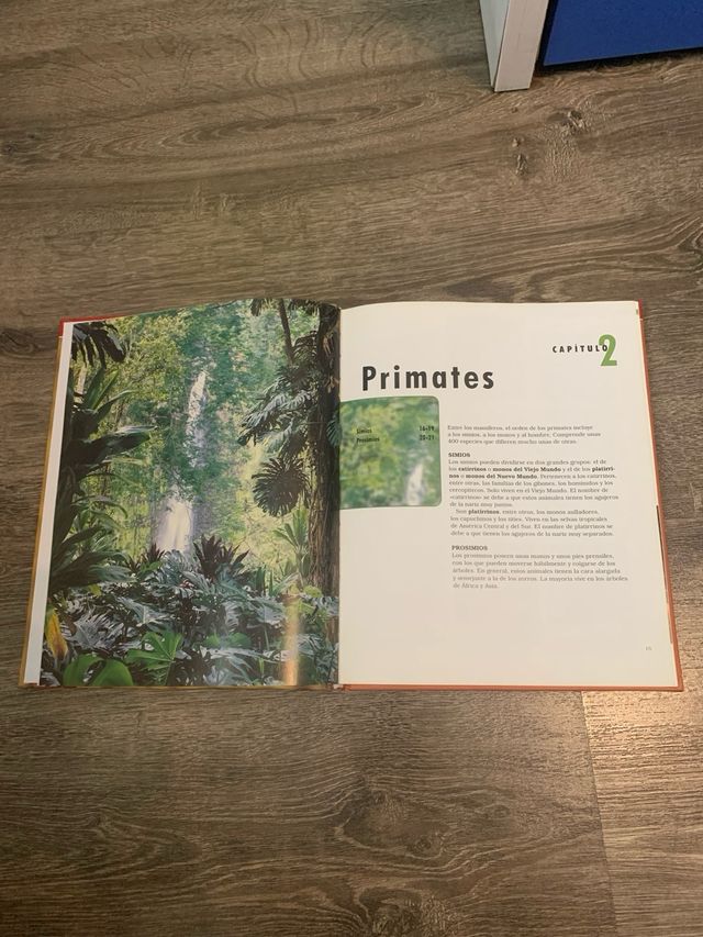 Libro Mamíferos aprender es fácil