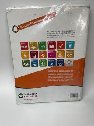 Artemisia Gentileschi 2 ESO. Socials