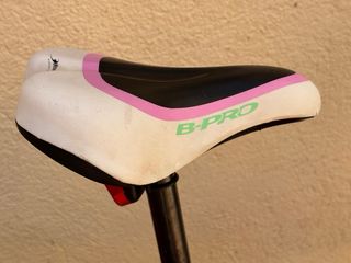 Bicicleta niña 20" BH