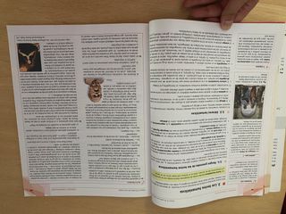 Lengua castellana y Literatura 2.º Bachillerato