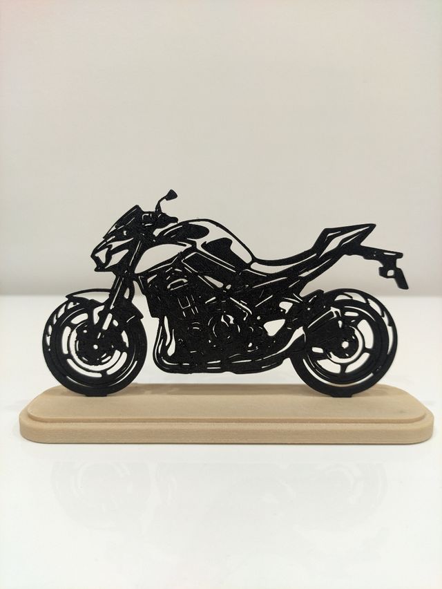 Sagoma Kawasaki Z900