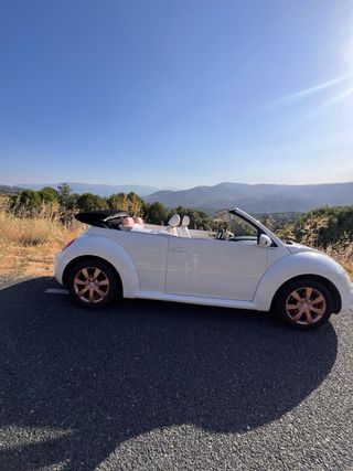 Volkswagen Beetle 2007