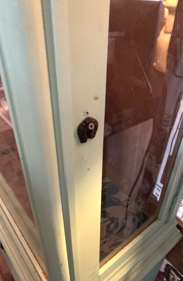 Vitrina antigua verde