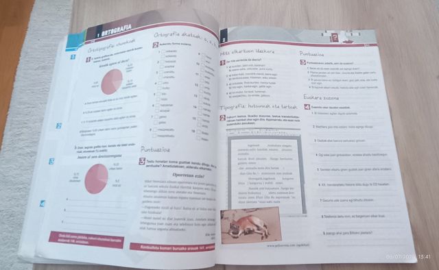 Hizkuntzan Trebatzen I -DBHO 1+2- (Basque Edition)