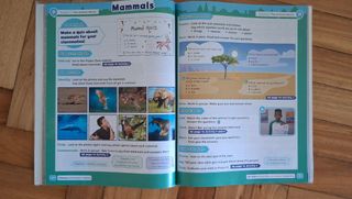 Amazing Rooftops 5. Class Book