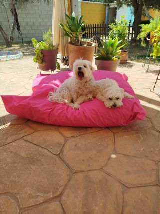 Cojín cama mascotas impermeables