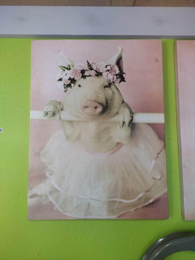 2 Quadri Porcellini Ballet