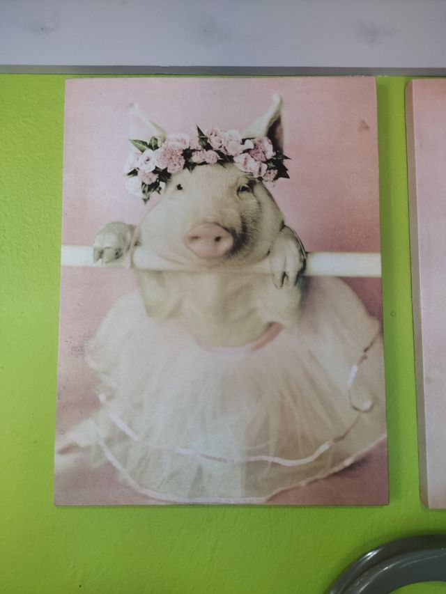 2 Quadri Porcellini Ballet