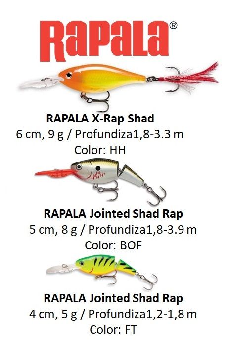 Señuelos Black Bass - Nuevos