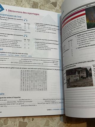 Libro frances A2 cahier d'activités Anaya