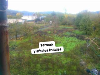 Finca con casa para reformar con terreno de 1500m