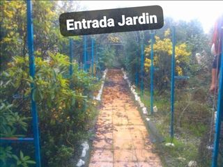 Finca con casa para reformar con terreno de 1500m