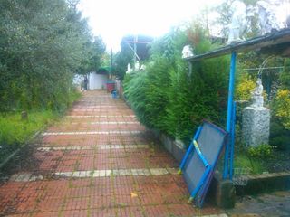 Finca con casa para reformar con terreno de 1500m