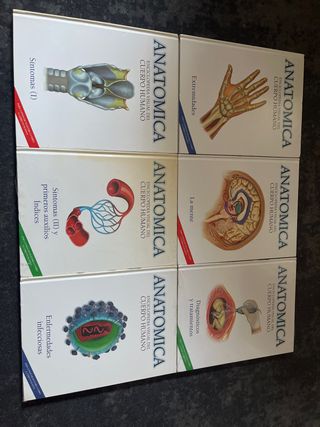 Enciclopedias de anatomia