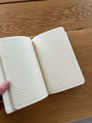 Taccuino diario a righe