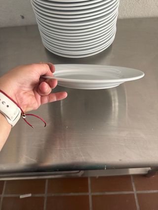 20 Platos Planos Porcelana - Hostelería