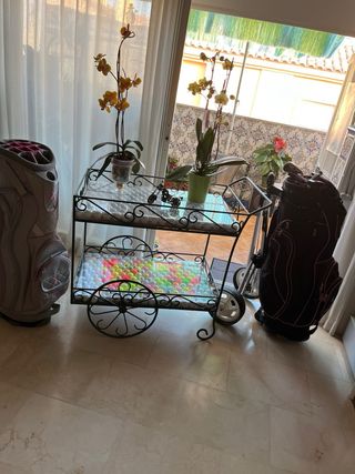 Carrito golf + palos + pelotas
