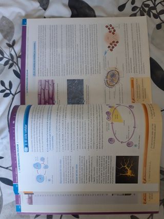 Biología y Geología 4º ESO (Castilla La Mancha)...