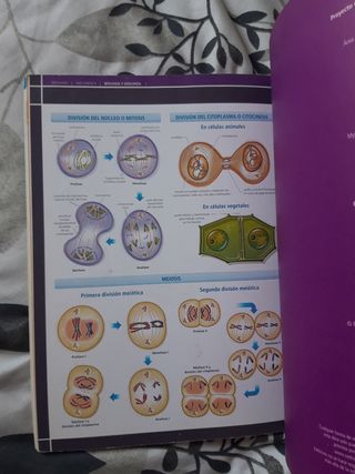 Biología y Geología 4º ESO (Castilla La Mancha)...