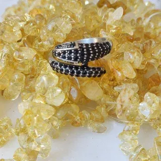 Anillo serpiente acero inoxidable