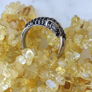 Anillo serpiente acero inoxidable