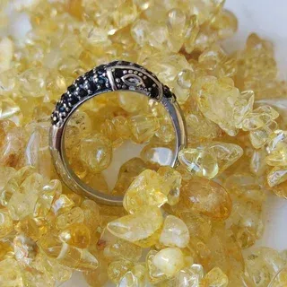 Anillo serpiente acero inoxidable