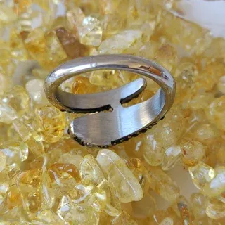 Anillo serpiente acero inoxidable