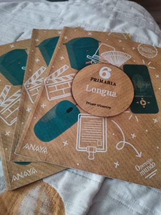 Sociales, Naturales,Lengua, Matemáticas,Inglés .