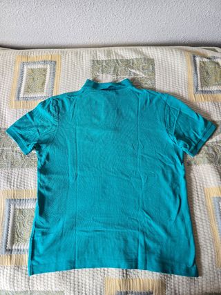 Polo Springfield M turquesa