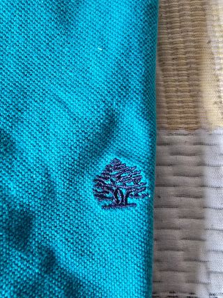 Polo Springfield M turquesa