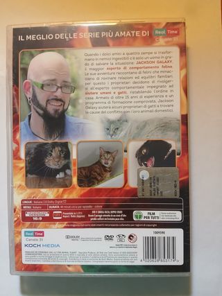 Il mio gatto è indemoniato - Stagione 5 (6 DVD)