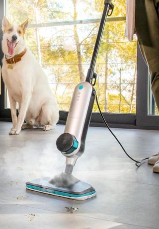 Cecotec. HydroSteam 3030 Active. Vaporeta Vertical
