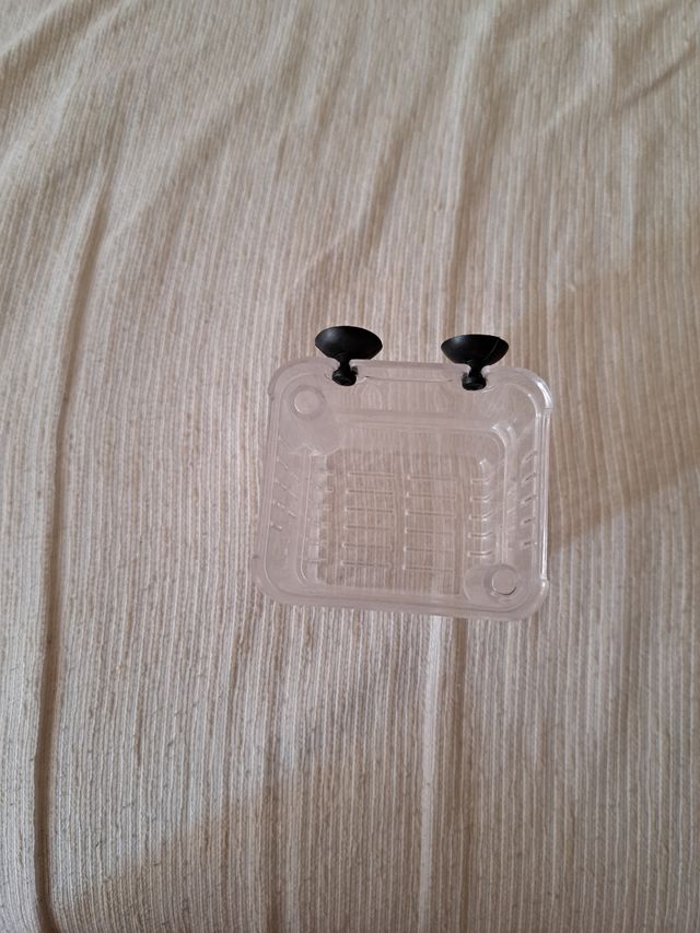 Paridera acuario peces transparente