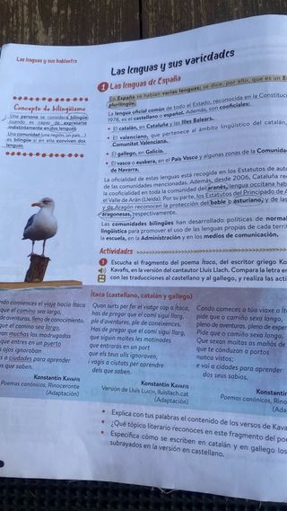 Lengua Castellana y Literatura 3º ESO. Libro de...