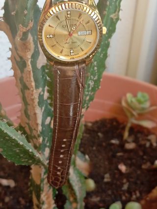 Orologio Citizen automatico oro