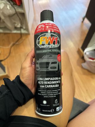 Cera FW1 Cleaning Wax 495g