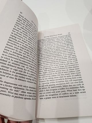 Our Inner Conflicts: A Constructive Theory of N...
