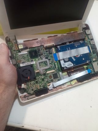 Asus Eee PC 1005HA rosa - Notebook