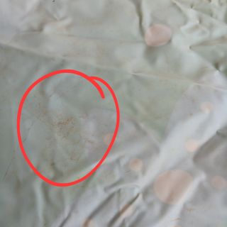 Piscina rociador infantil Bestway 1.65m