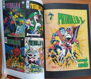 Especial - The Vertice Experience