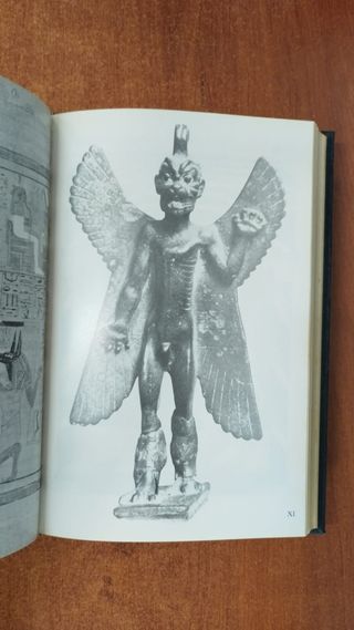 En busca de los dioses