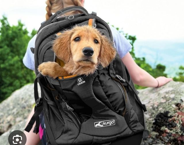 Mochila Trolley porta Mascotas GLORIA