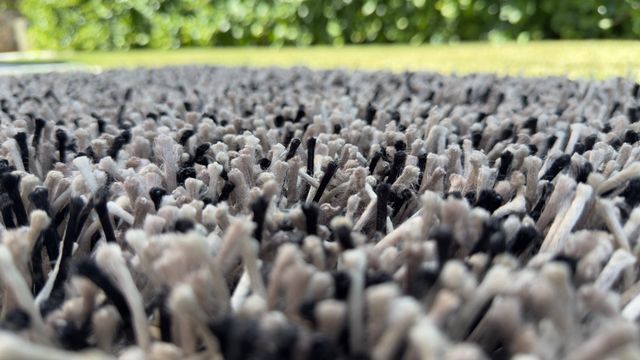 Alfombra para Habitación